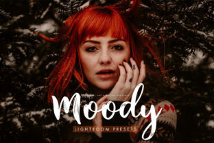 Download Moody Presets for Desktop + Mobile - Desktop Collection